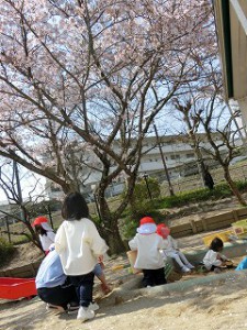 桜も満開！！