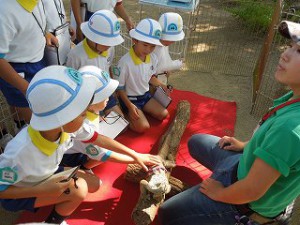 男の子はイグアナに興味津々です＾＾