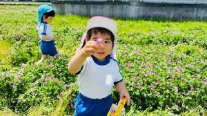 LINE_ALBUM_20250421れんげ摘み_250519_65