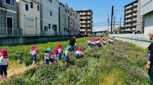 LINE_ALBUM_20250421れんげ摘み_250519_75