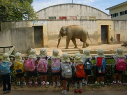 ぞうさんに感動～　「大きい～～♡」