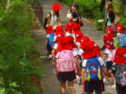 先生について、こんなにしっかり歩いている姿は素晴らしい～～‼