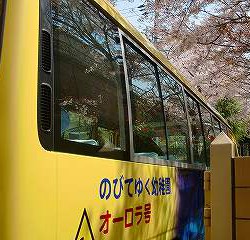 みんなが乗り込んだバスを桜も見送ってくれています。　　　　　　　　　　　　　　　　　　　　明日も元気に幼稚園に来て下さいね～！　　　　　　　　　　　　　　　　　　　　　　　　　　　　　　　　　　先生達み～んな、楽しみに待ってます♡