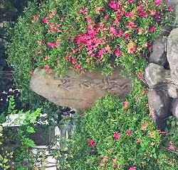 1 待ちに待った養父キャンプ! バスに乗って出発〜!!