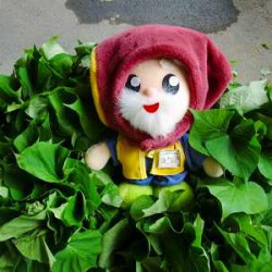 茨城県のキャラクターは「ハッスル黄門さん」がた～くさんお芋の苗を届けてくれました！