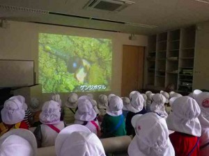 ホタルの館の前にある資料館にもいきました！！ホタルの成長を映像で見させてもらいました♬